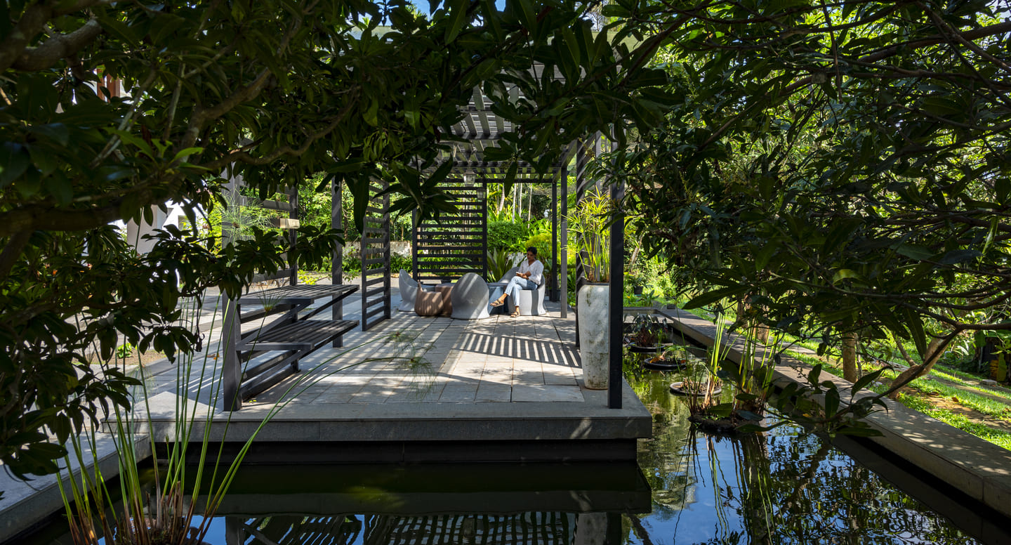 Lucid Home Garden - 3